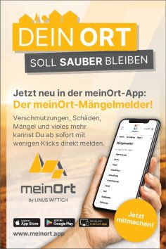 Bild Mein-Ort-Mängelmelder