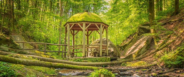 Pavillon im lichtdurchflutenen Wald