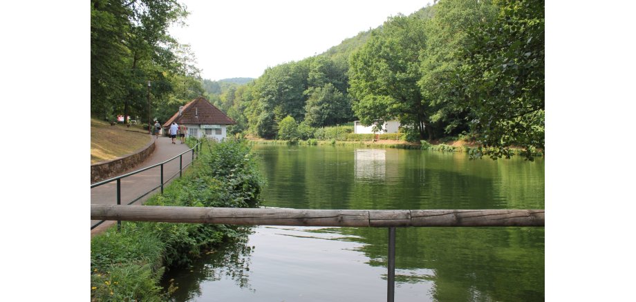 Bärenlochweiher Kindsbach Bärenlochweiher Kindsbach