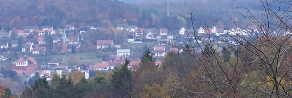 Luftansicht der Ortsgemeinde Schopp