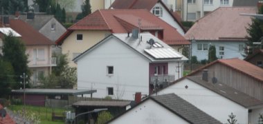 Hasengasse in Trippstadt