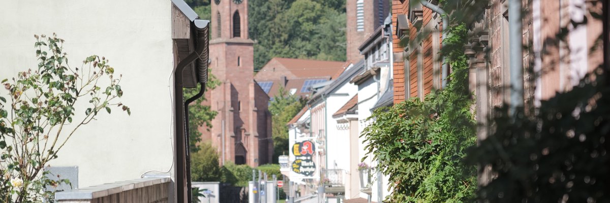 Blick in die Stadt vom Pallmannseck