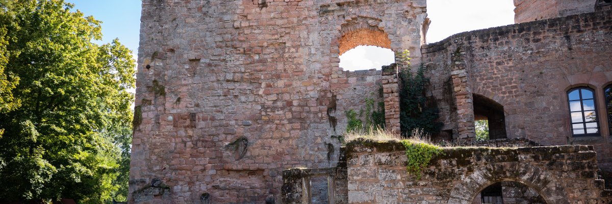 Blick in die Stadt vom Pallmannseck
