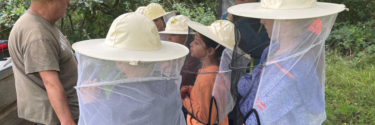 Bild Ferienprogramm Kinder