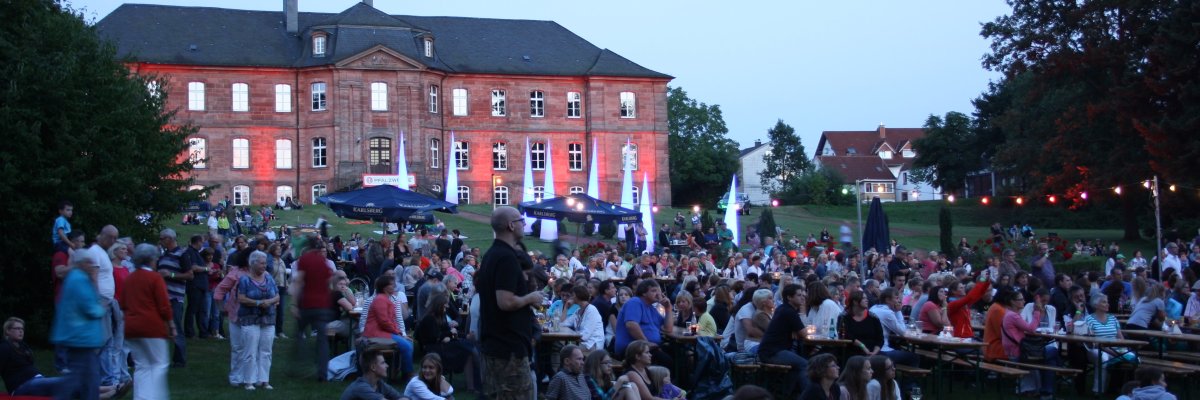 Belebtes Schlossparkfestival 2015