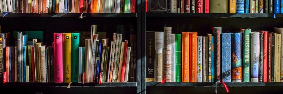 Bücherregal, bis zum Rand mit bunten Büchern gefüllt