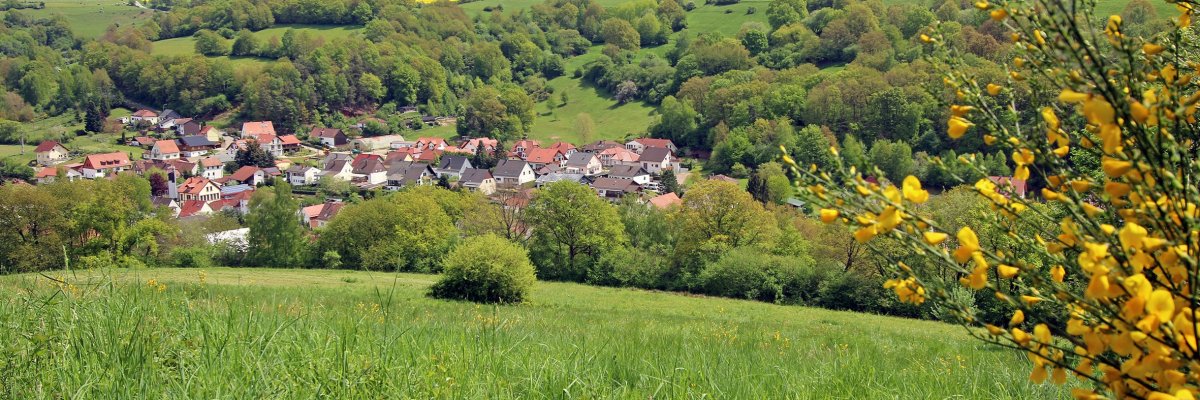 Oberarnbach von Oben