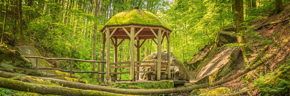 Pavillon im lichtdurchflutenen Wald