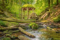 Pavillon im lichtdurchflutenen Wald
